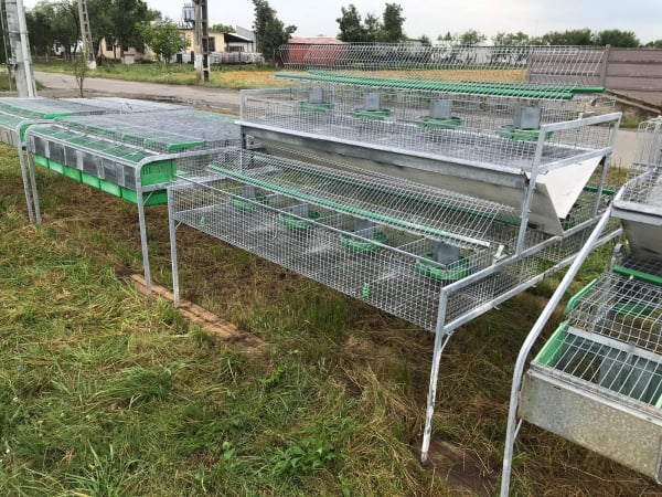 Cusca Ingrasare 48 [8]