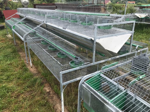 Cusca Ingrasare 48 [17]