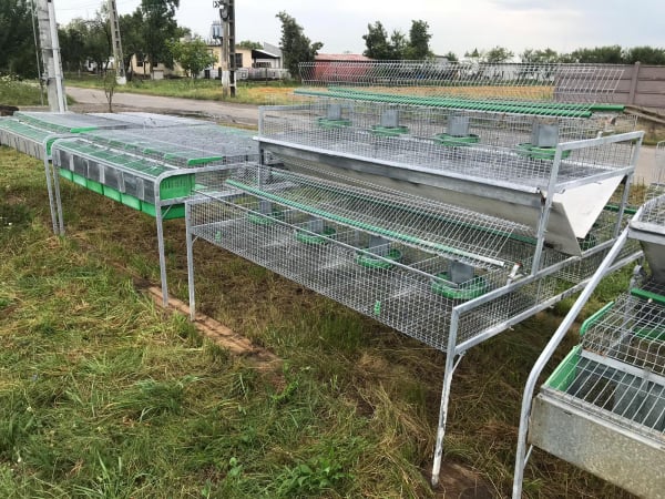 Cusca Ingrasare 48 [5]