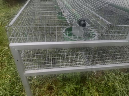 Cusca iepuri 38 compartimente [6]