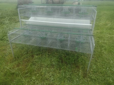 Cusca iepuri 38 compartimente [2]