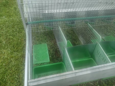 Cusca iepuri 38 compartimente [5]