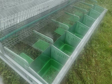 Cusca iepuri 38 compartimente [4]