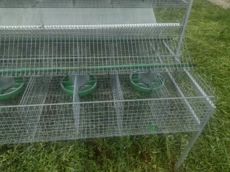 Cusca iepuri 38 compartimente [7]