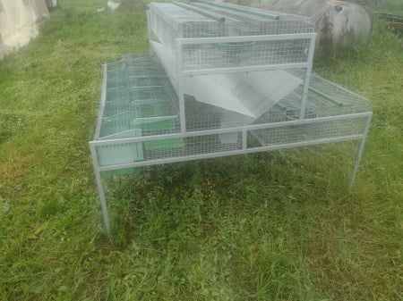 Cusca iepuri 38 compartimente [3]