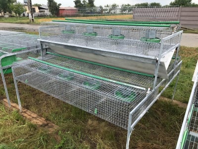 Cusca Ingrasare 48 [6]