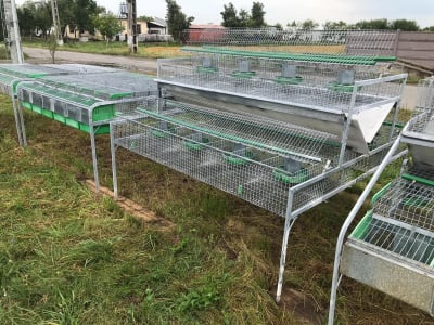 Cusca Ingrasare 48 [7]