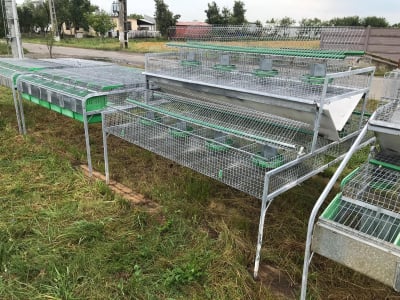 Cusca Ingrasare 48 [12]