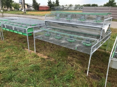 Cusca Ingrasare 48 [11]