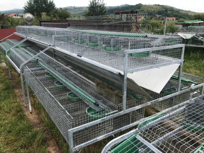 Cusca Ingrasare 48 [18]