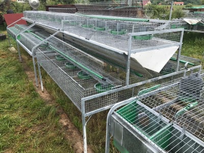 Cusca Ingrasare 48 [16]