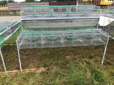 Cusca Ingrasare 48 [13]