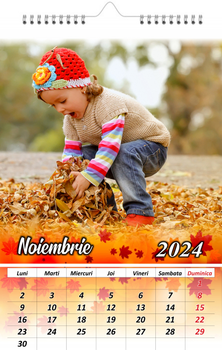 Calendar Personalizat [11]