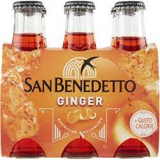 SANBENEDETTO GINGER, 6X 100 ML [1]