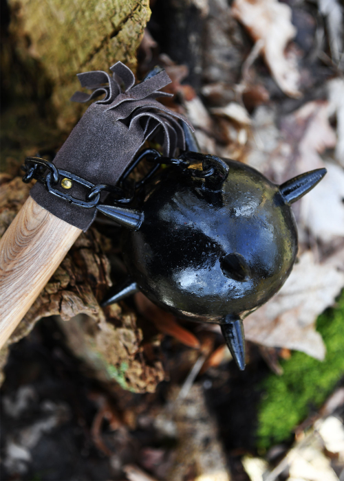 Bici de luptă cu mâner lung [2]