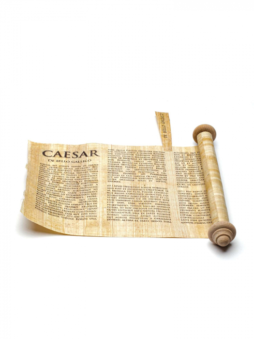 Papirus De bello Gallico [1]