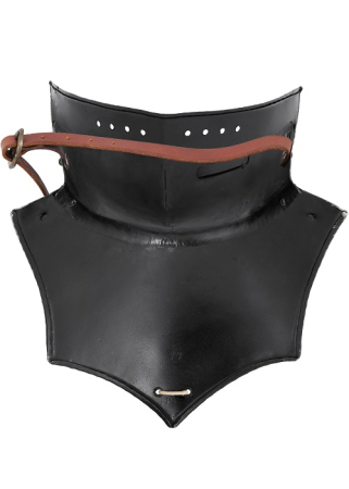 Apărătoare de gât tip Bevor [4]