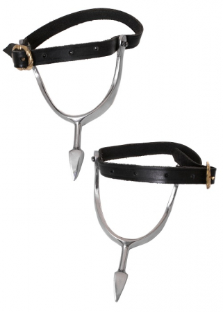 Accesorii - Pinteni