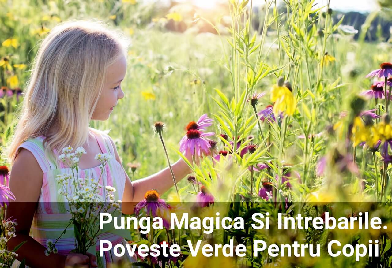 Punga Magica Si Intrebarile Ei. Poveste Verde Pentru Copii