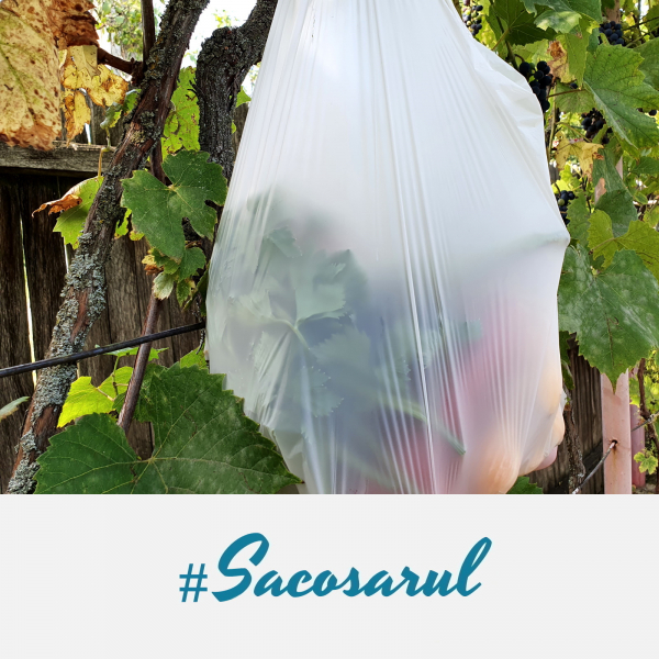 Pungi BIOdegradabile maieu la Rola, 22x50 cm, 2 kg, set 4 role [7]