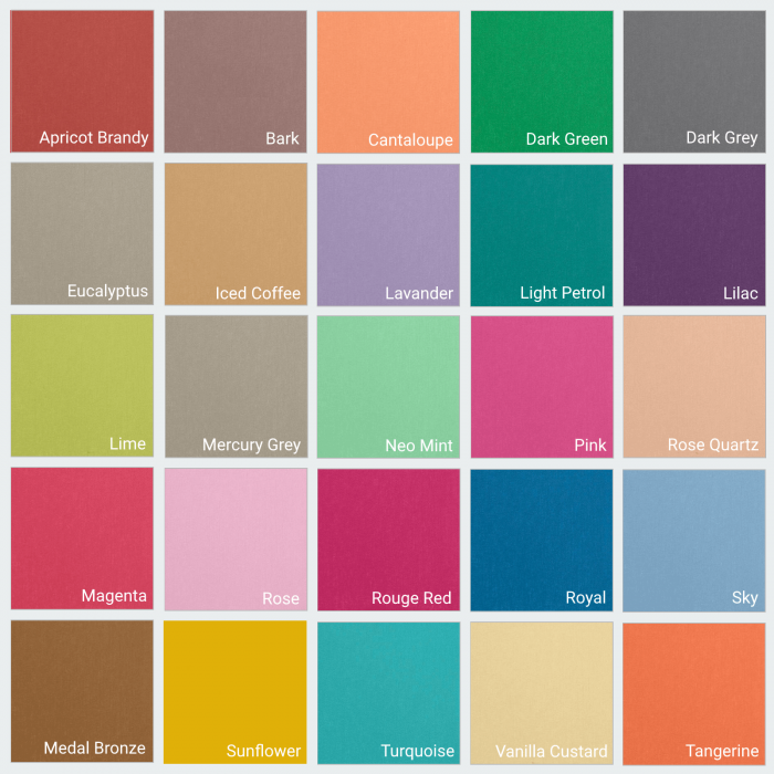 Sacose din Bumbac Color 2025, Reutilizabile, Personalizabile, cu toarta lunga, 38x42 cm [2]