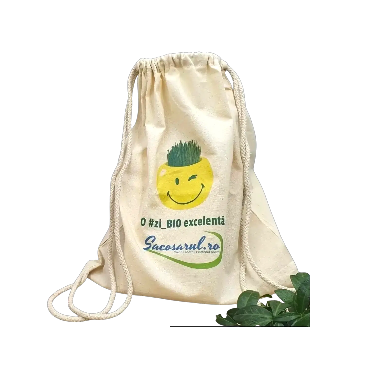 Rucsacuri - Rucsac panza cu snur o zi_BIO excelenta - Sacosarul