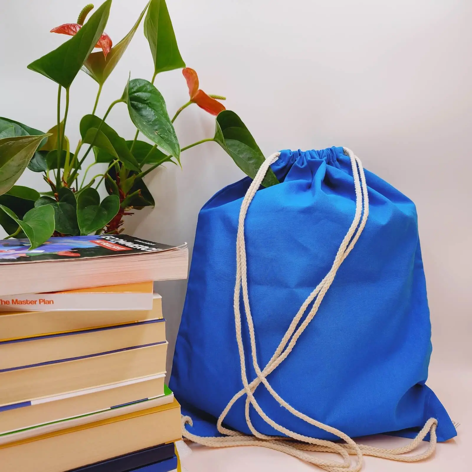 rucsac-colorat-panza-bumbac-37x46cm [1]