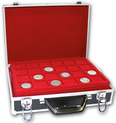 Big Coin Cases