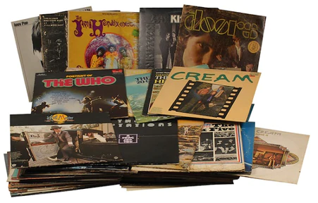 colectie discuri de vinil Joey Ramone - Safe Albums