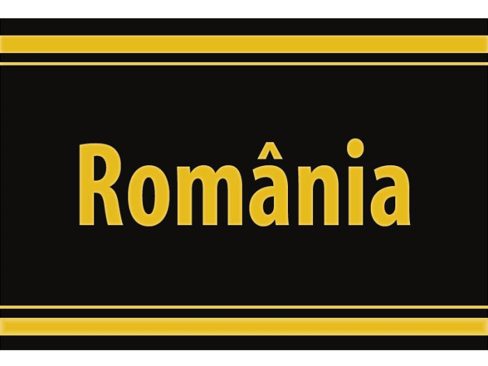 Sticker autoadeziv negru, SAFE Signetten, Baza goala [2]