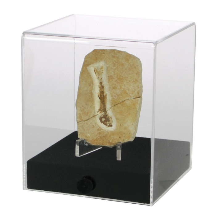 Vitrina-Cub 120 x 120 x 140 mm, prezentare figurine, machete, roci, minerale, ceasuri-5288 [3]