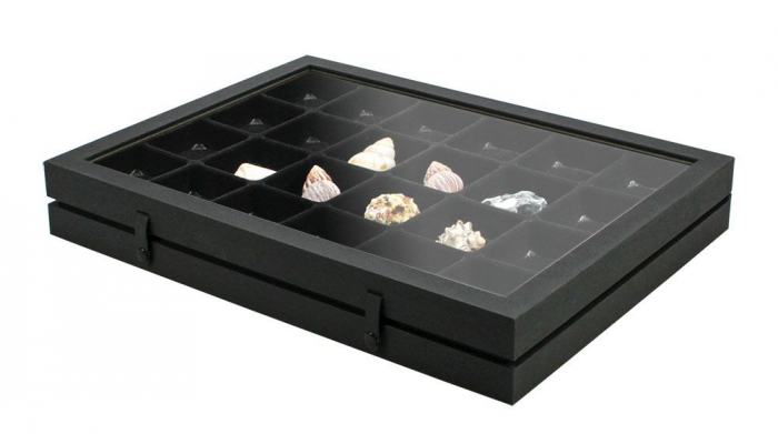 Vitrina Premium pentru miniaturi, lego, figurine, minerale, roci - 24 compartimente 65 x 58 mm - Black Edition-5676 [1]