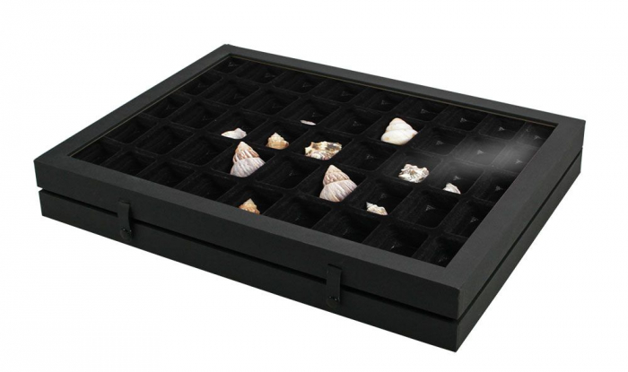 Display case Black Edition 45 compartments 36 x 49 mm-5677 [5]