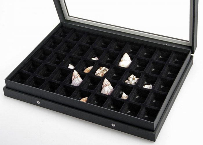 Display case Black Edition 45 compartments 36 x 49 mm-5677 [6]