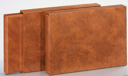 Sistem Favorit - Etui de protectie pentru Albumul-Special A3-1029
