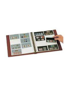 5 pages for stamp cards, Favorit 749PA, 8 pockets 70 x 115 mm [1]