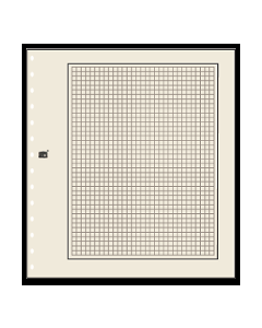 10 Cream cardboard pages with quadrille and black boarder - 781 [1]