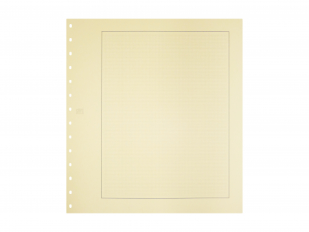 Cardboard Pages - 10 Cream cardboard pages with quadrille and black boarder - 781