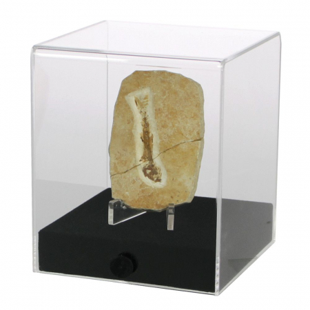 Vitrina-Cub 120 x 120 x 140 mm, prezentare figurine, machete, roci, minerale, ceasuri-5288 [2]