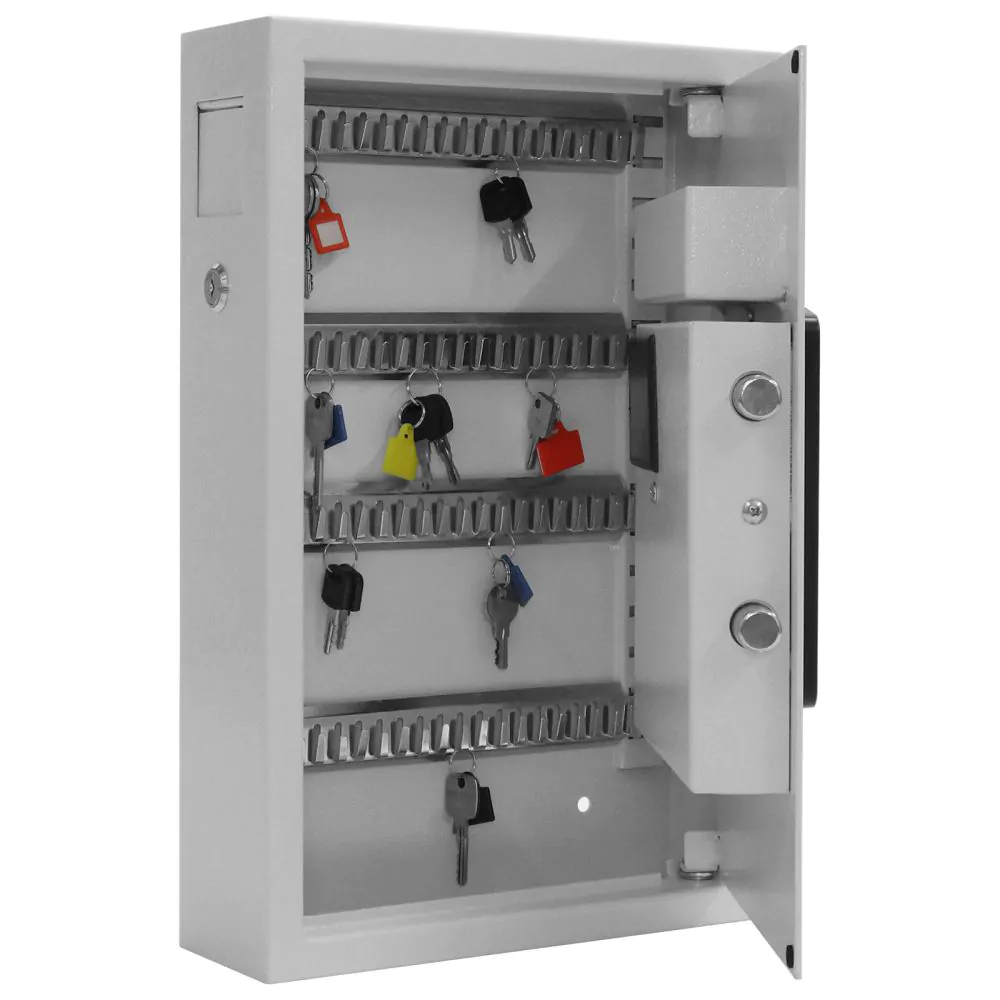 Caseta chei Keytronic 48 inchidere electronica [3]