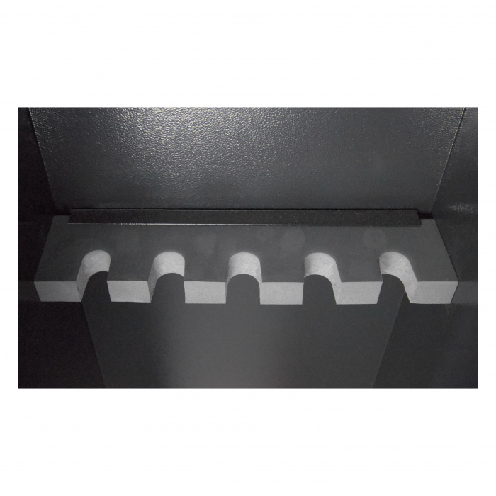 Dulap arme MG5D inchidere biometrica [6]