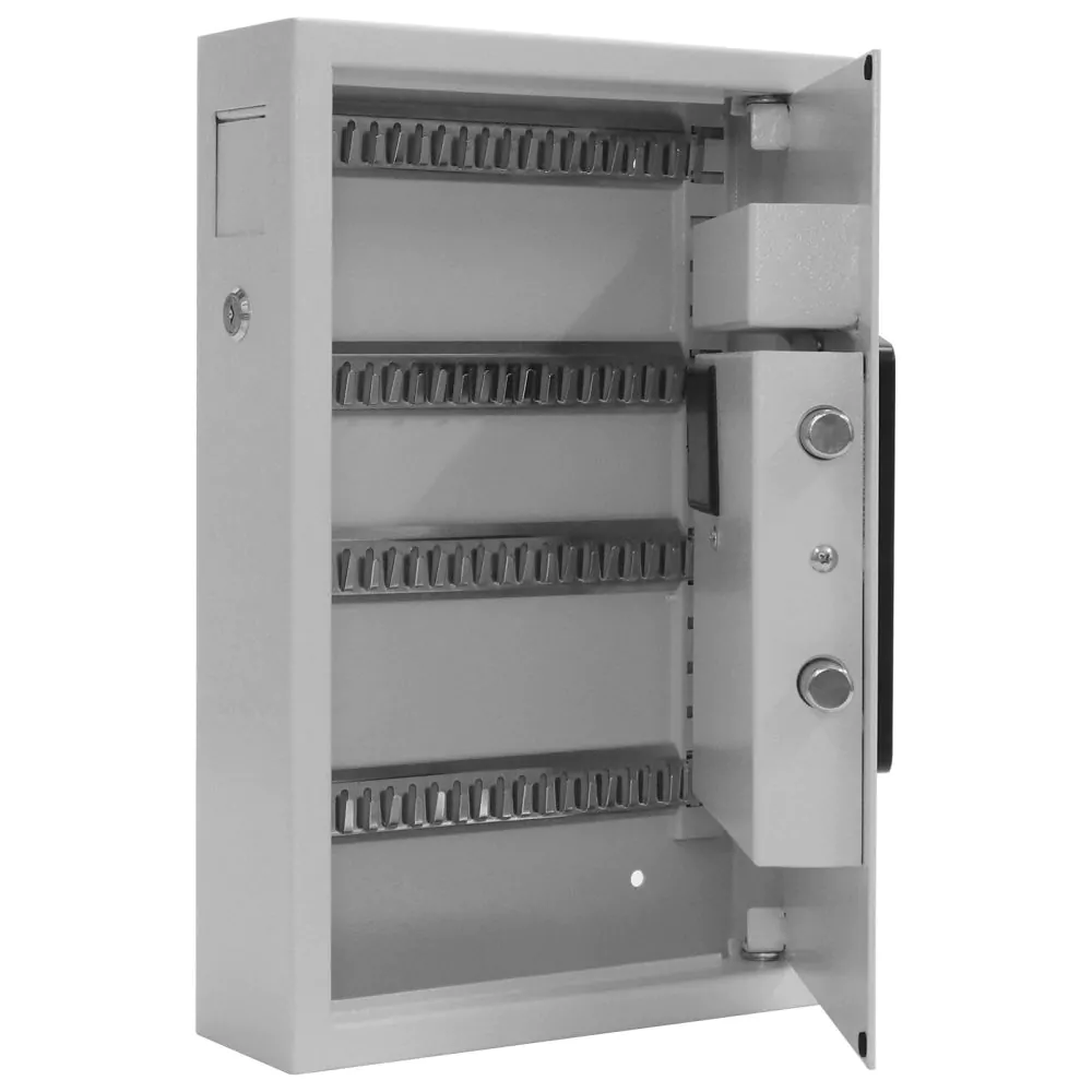 Caseta chei Keytronic 48 inchidere electronica [1]