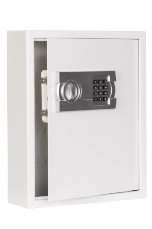 Caseta chei Protector Key 80 E inchidere electronica [1]