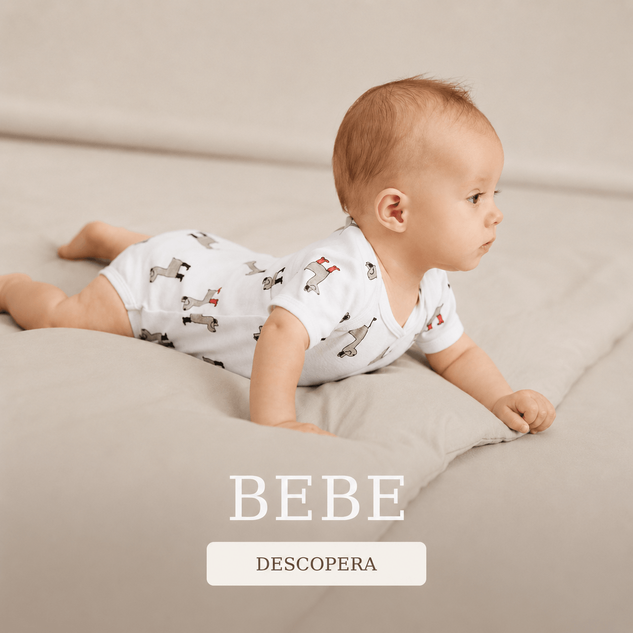 Bebelusi