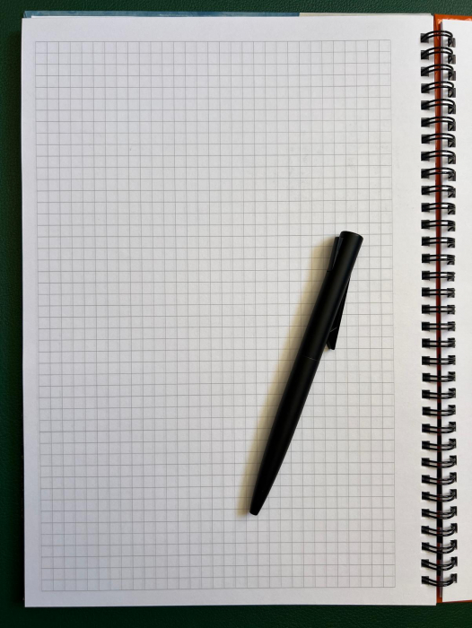 Agenda A4 nedatata 100% personalizata, cu spira [16]