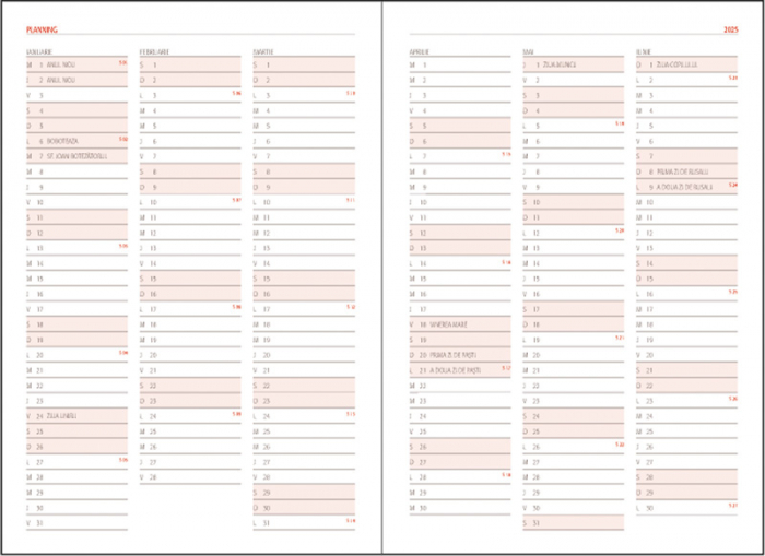 Agenda datata zilnic BASIC BR [3]