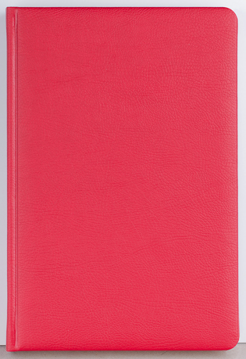Agenda datata zilnic Office [5]