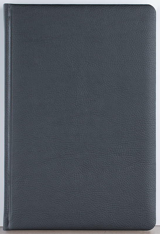 Agenda datata zilnic Office [3]