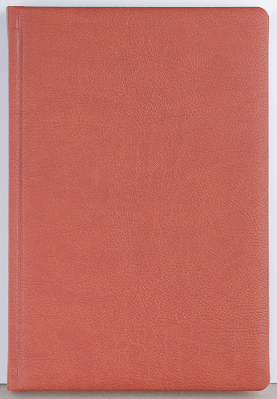 Agenda datata zilnic Office [2]
