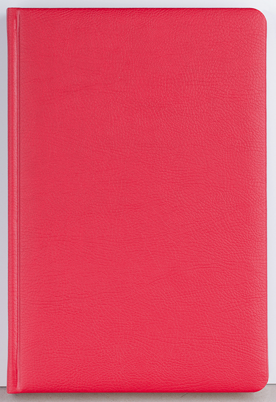 Agenda datata zilnic Office [4]